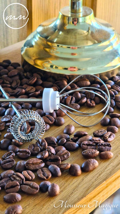 Fouet supplémentaire pour mousseur à lait, facile à nettoyer et interchangeable