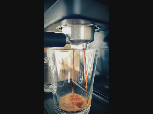 Réalisation d’un cappuccino onctueux et crémeux avec un mousseur à lait barista